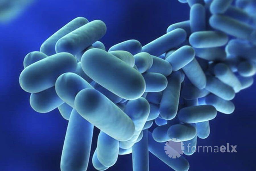Legionella - Mantenimiento higiénico de instalaciones susceptibles de proliferación de microorganismos nocivos y su diseminación por aerosolización (SEAG0212) 